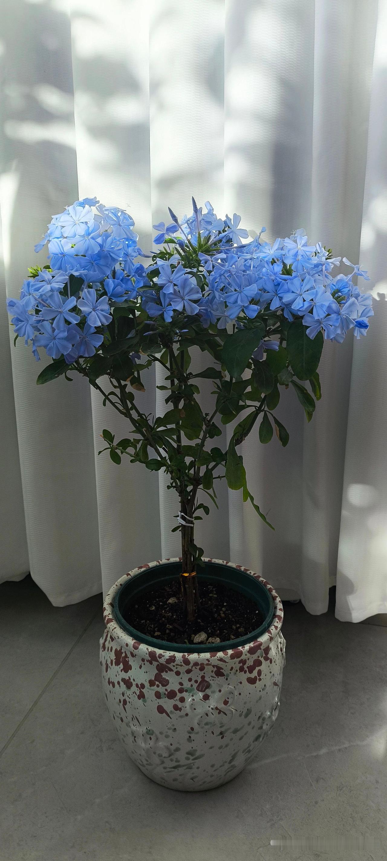 夫妻生活里，男女都重要，缺一不可。从生理需求看，男性规律性生活能减少前列腺疾病，