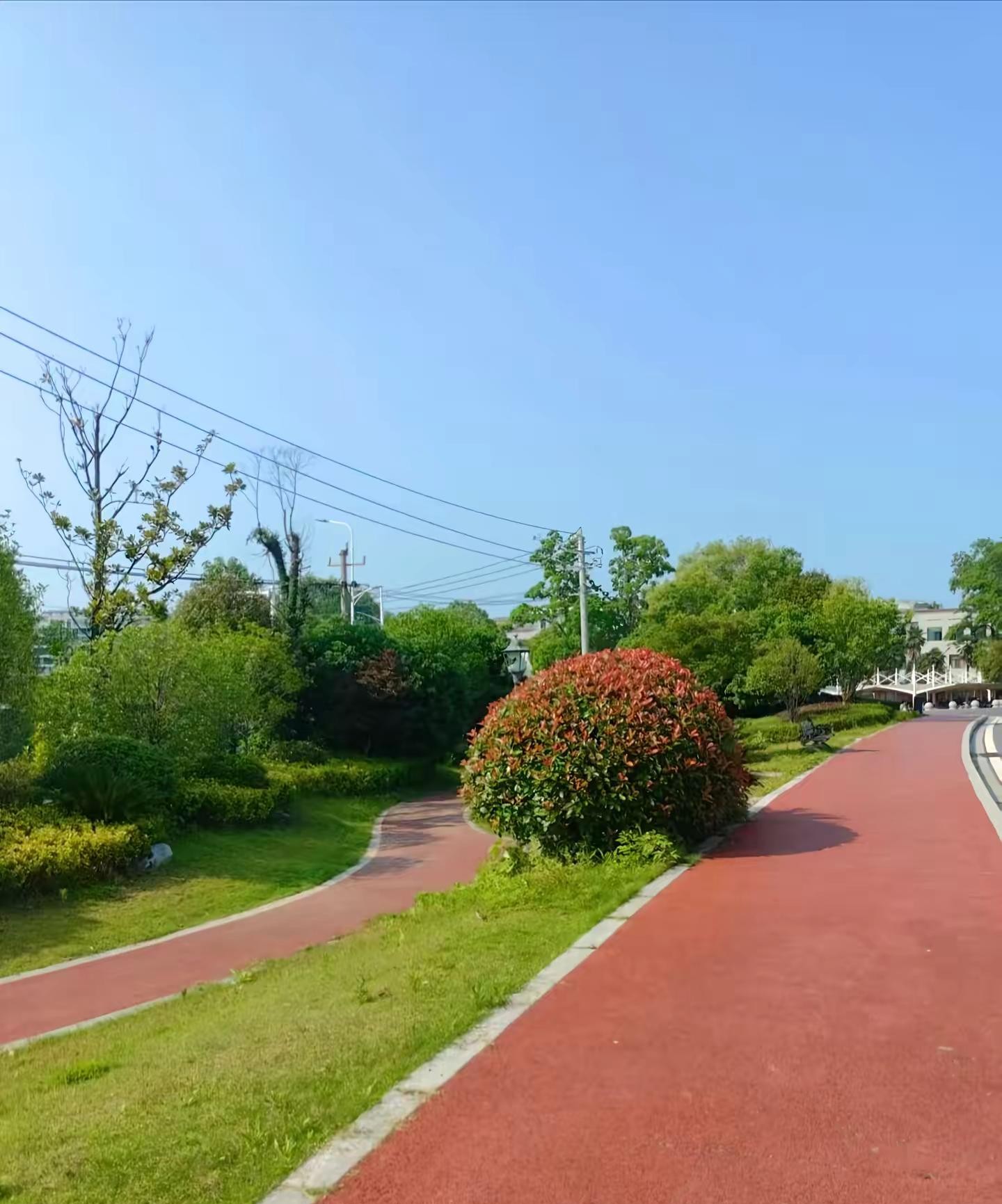 我见过最狠的女人是我表姐。那年她45岁，老公出轨了，当时她儿子正上高三，她在陪读