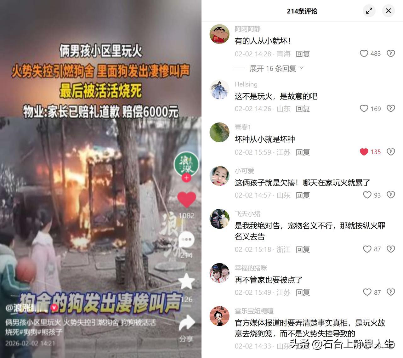 男孩玩火引燃狗舍，狗狗惨死小区里俩孩子玩火，没控制住烧了狗舍，里头的狗发