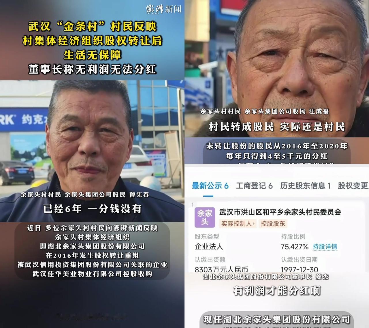 武汉金条村股民6年没分红，董事长说公司没利润？2016年村集体企业被国企