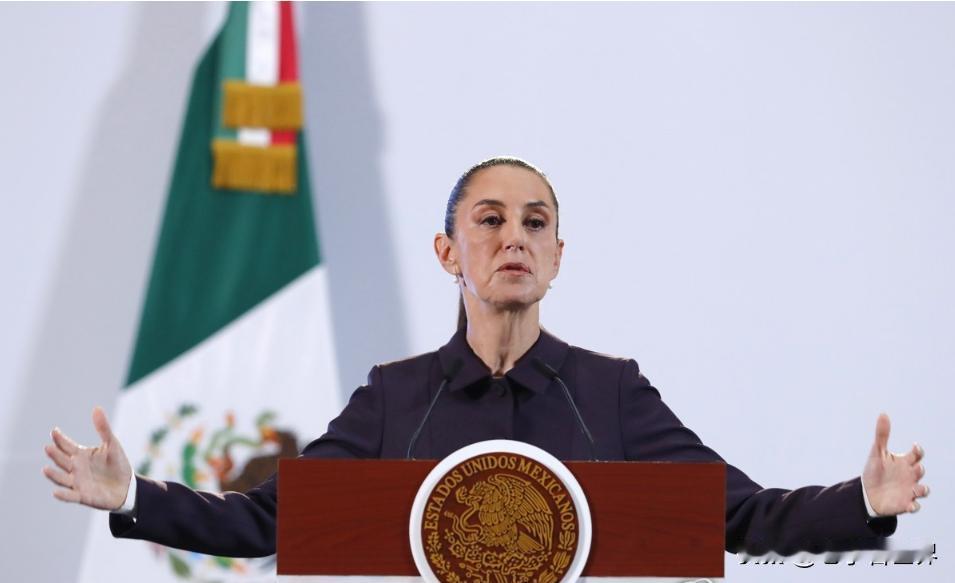 【墨西哥总统：美国有责任解决自身对毒品的需求】墨西哥城时间2026年1月5日，