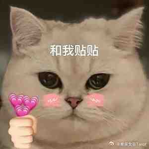 最适合做闺蜜的四大星座：巨蟹——会照顾人双子——能陪你聊到天亮天蝎——永远站你这