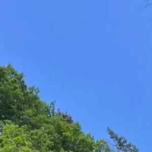 每日一善阳光信用所谓人生开挂，不过是厚积薄发。常言道，不经一番寒彻骨，哪有梅