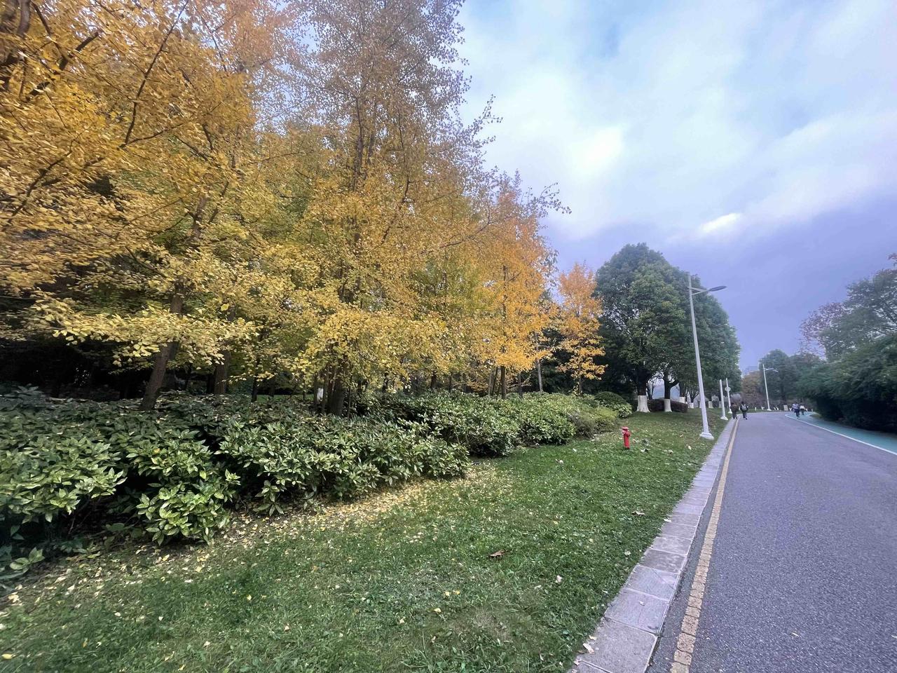 最近感觉感染流感的人超级多去楼下药店买个体温计，居然水银体温