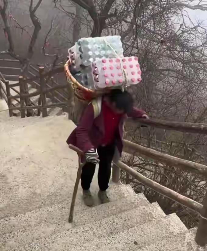 河南老君山最近上了热搜。不是因为网红打卡，也不是搞什么促销活动，就因为景区说了一