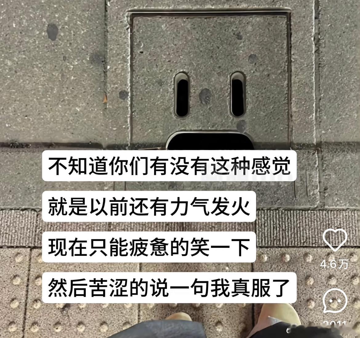 欲说还休，欲说还休，却道：天凉好个秋。​​​