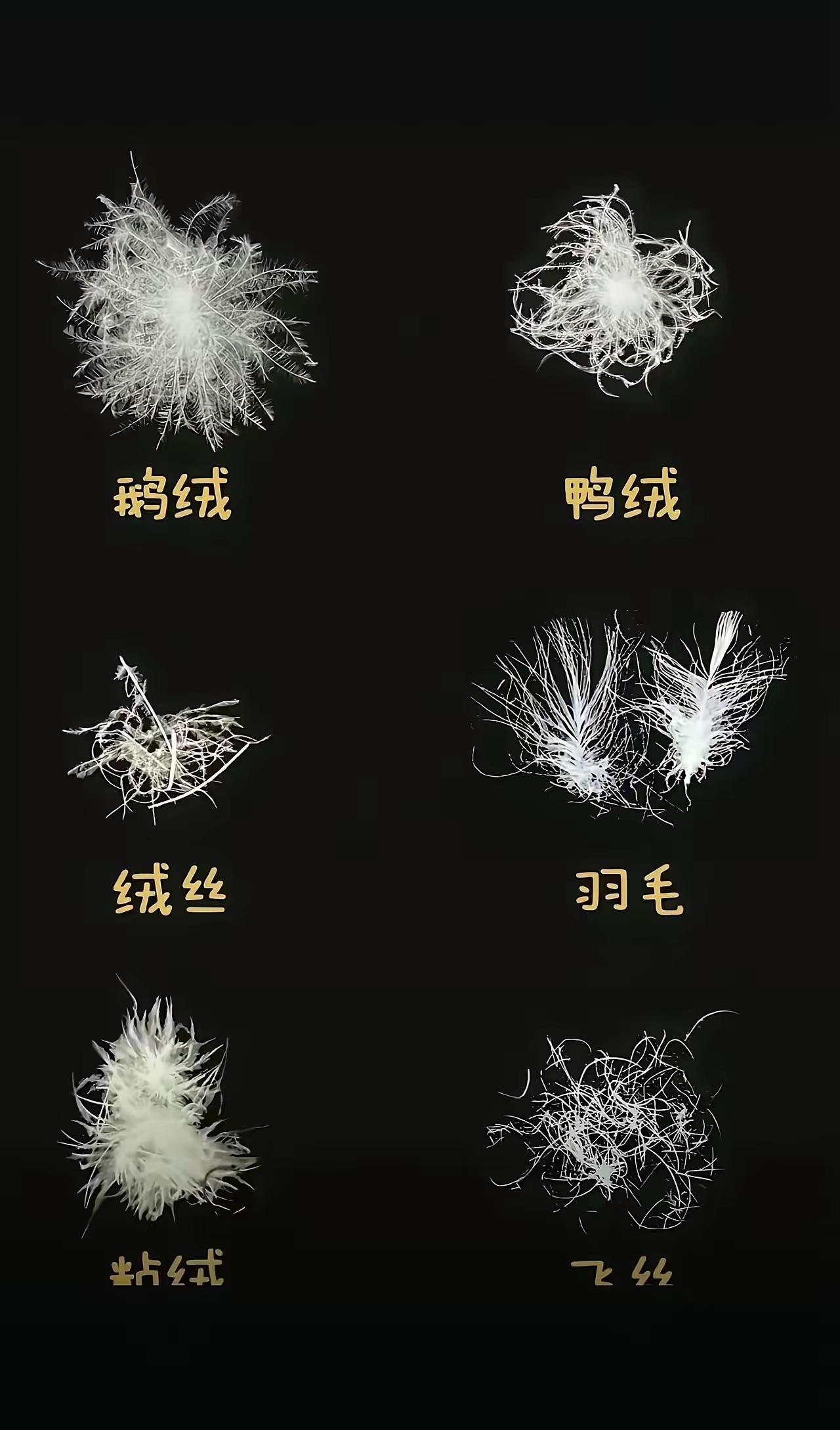 今年再也不敢买羽绒服了[捂脸哭]穿了那么多年羽绒服，原来穿的都是假的，看看你