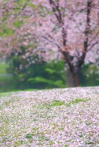 上联：花开花落春秋逝，下联：月晈月朗冬夏明，下联：云卷云舒天地宽。