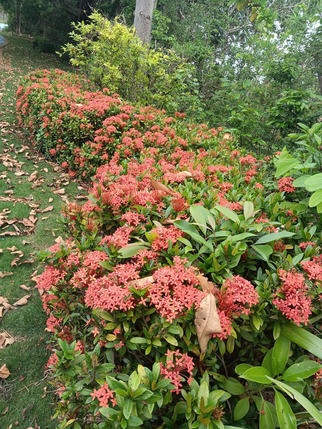 紧急提醒！4月1日起，医保卡里这笔钱将清零，很多人还不知道正文：家人们，重要