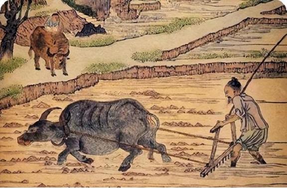 “我国古代没有牛，牛是建国后从美国引进的，它的原型是美国野牛”，这个说法一出，立