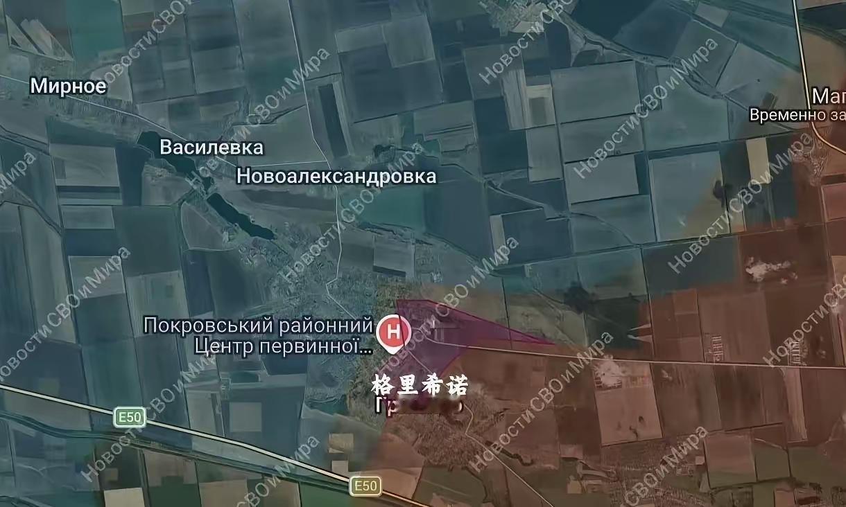 格里希诺距红军城仅2.5-3公里，面积约8平方公里，是乌军经营多年的前沿据点，此