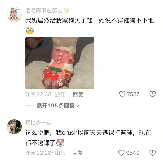 不穿鞋，狗不下地