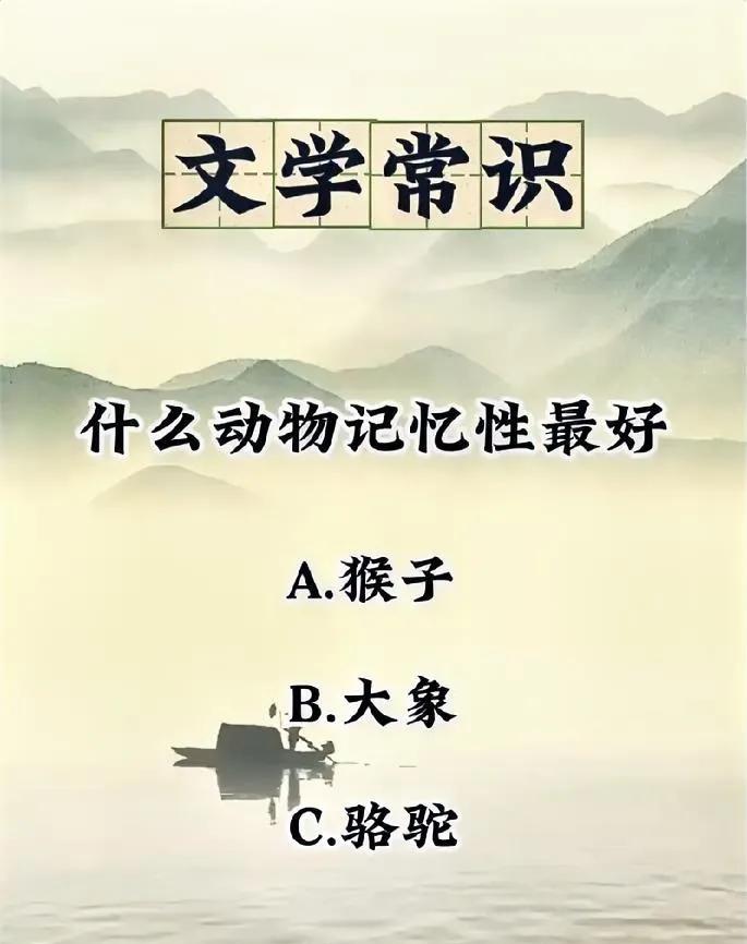 什么动物记忆力最好