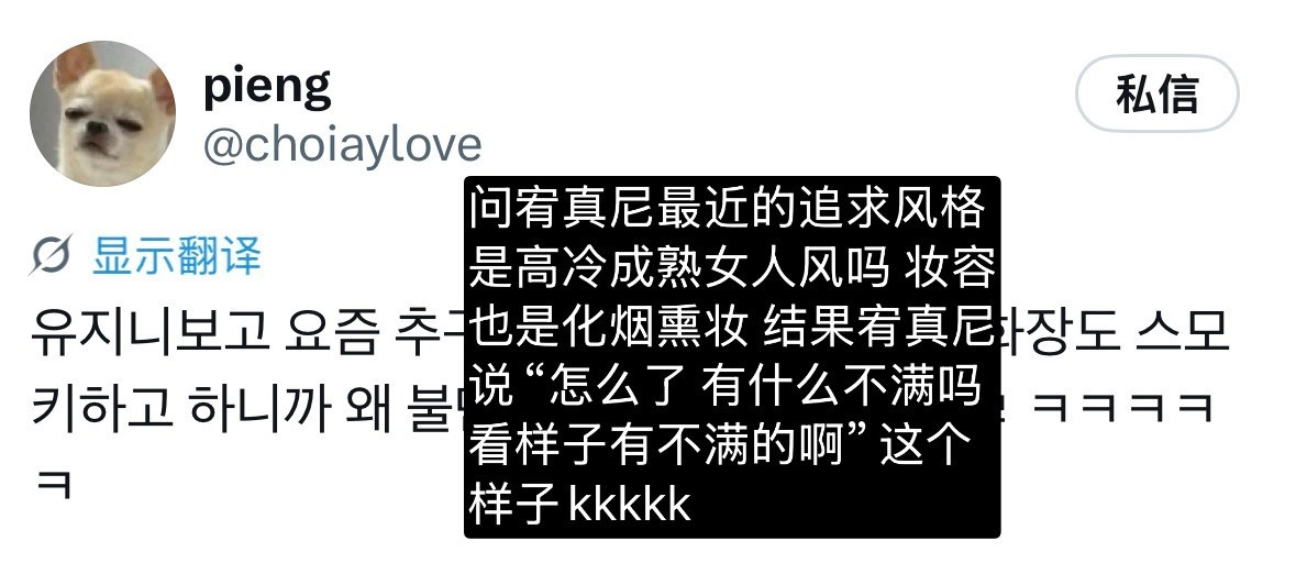 小狗很皮​​​