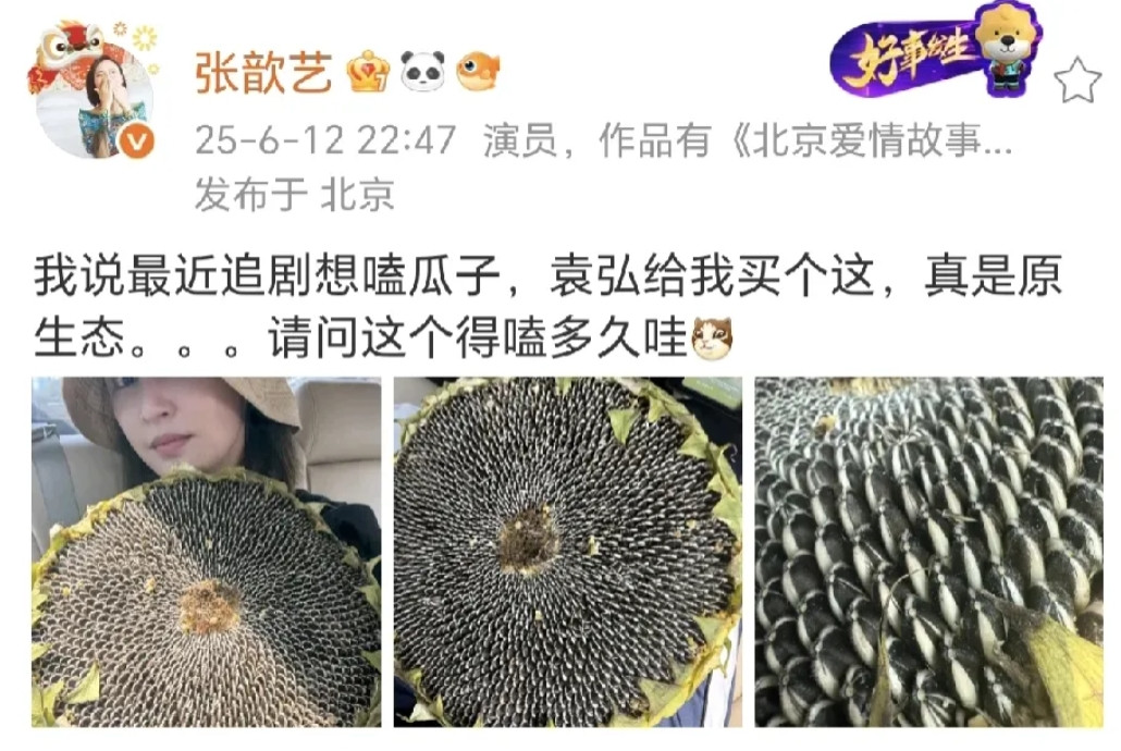 袁弘送张歆艺葵瓜子大圆盘！6月12日，张歆艺晒出了与一大盘葵瓜子的合照，真的是