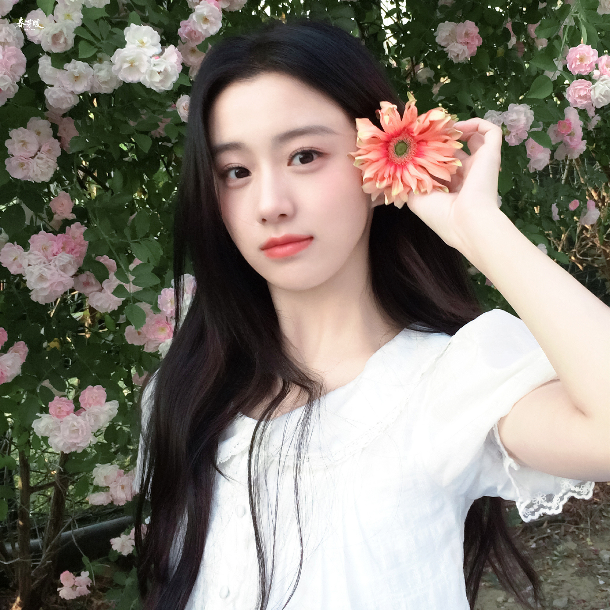 包上恩💛包上恩江湖夜雨十年灯💛包上恩蔡昭你的出現讓我開始相信天使的存