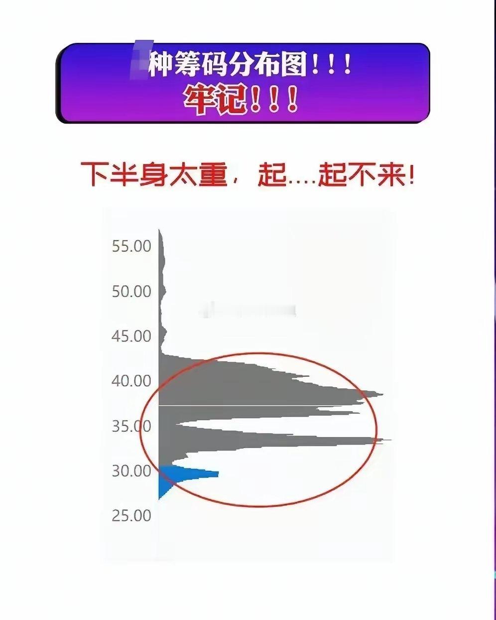 炒股时，筹码峰可是个重要指标，它就像股市“照妖镜”，能让主力吸筹、洗盘、出货小动