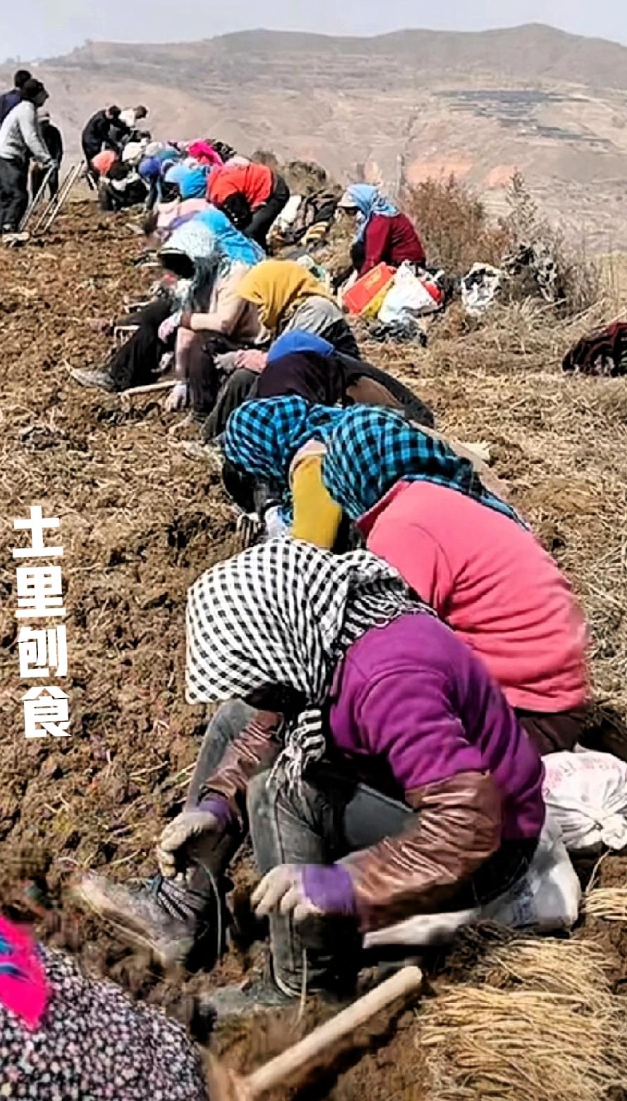 中国农民七八十岁还要干活是为了有饭吃。因为农村年轻人为了生活在外打工，年迈的父