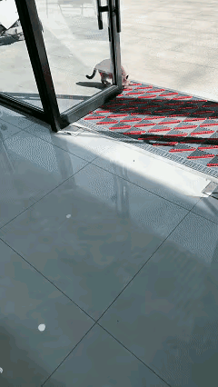 万万没想到，江苏有位开银饰店的小姐姐，就因为给路边流浪猫喂了点吃的，居然得到了超