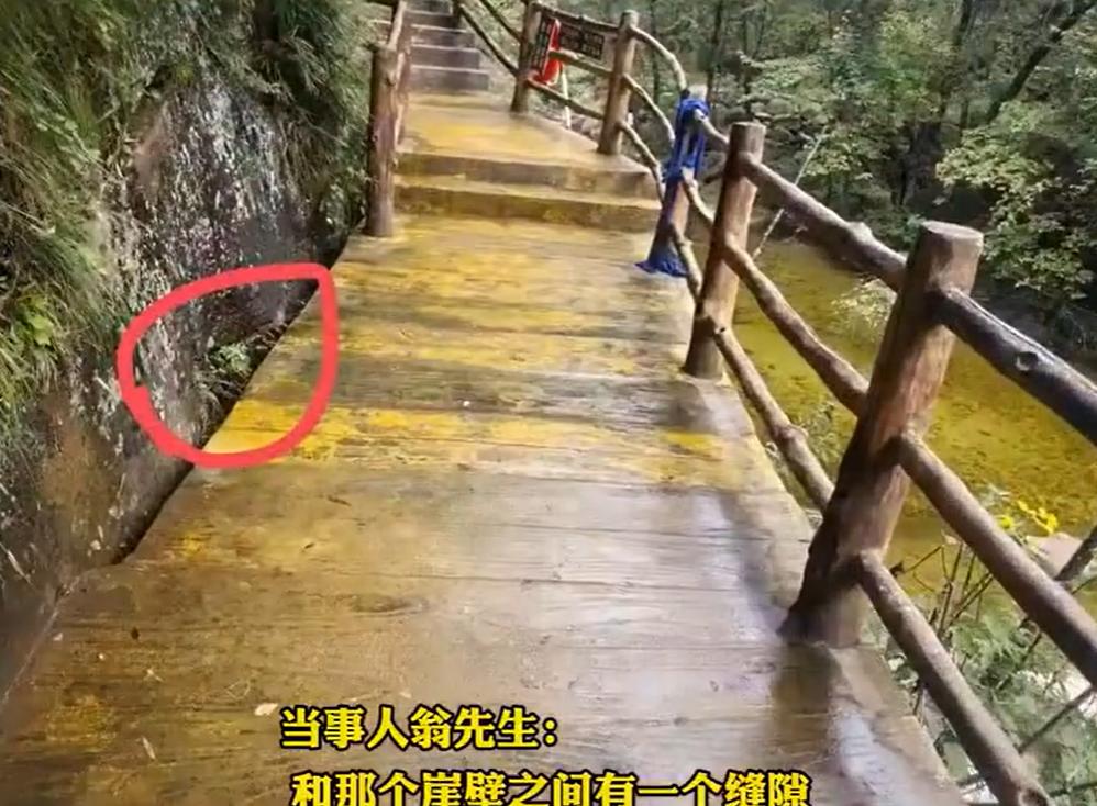 10月3日下午，重庆的翁先生带着家人，和朋友一家一起去陕西省佛坪县熊猫谷景区游玩