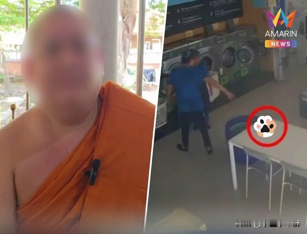 泰国洗衣乌龙事件引发热议，住持用一个比喻化解舆论风波泰国暖武里府一家自助