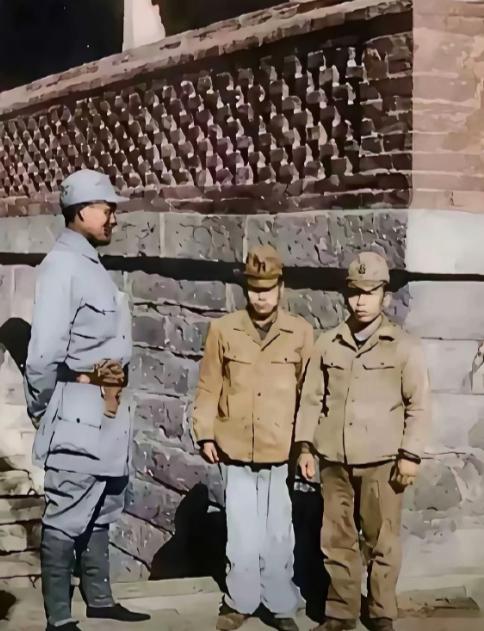 盗种?被俘虏的倭军身材如此矮小，通过这种方式他们在二战后的身高一下子上去了。实