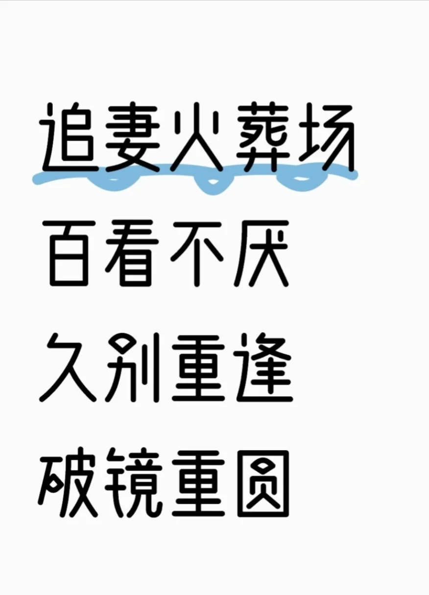 18本追妻火葬场文 破镜重圆