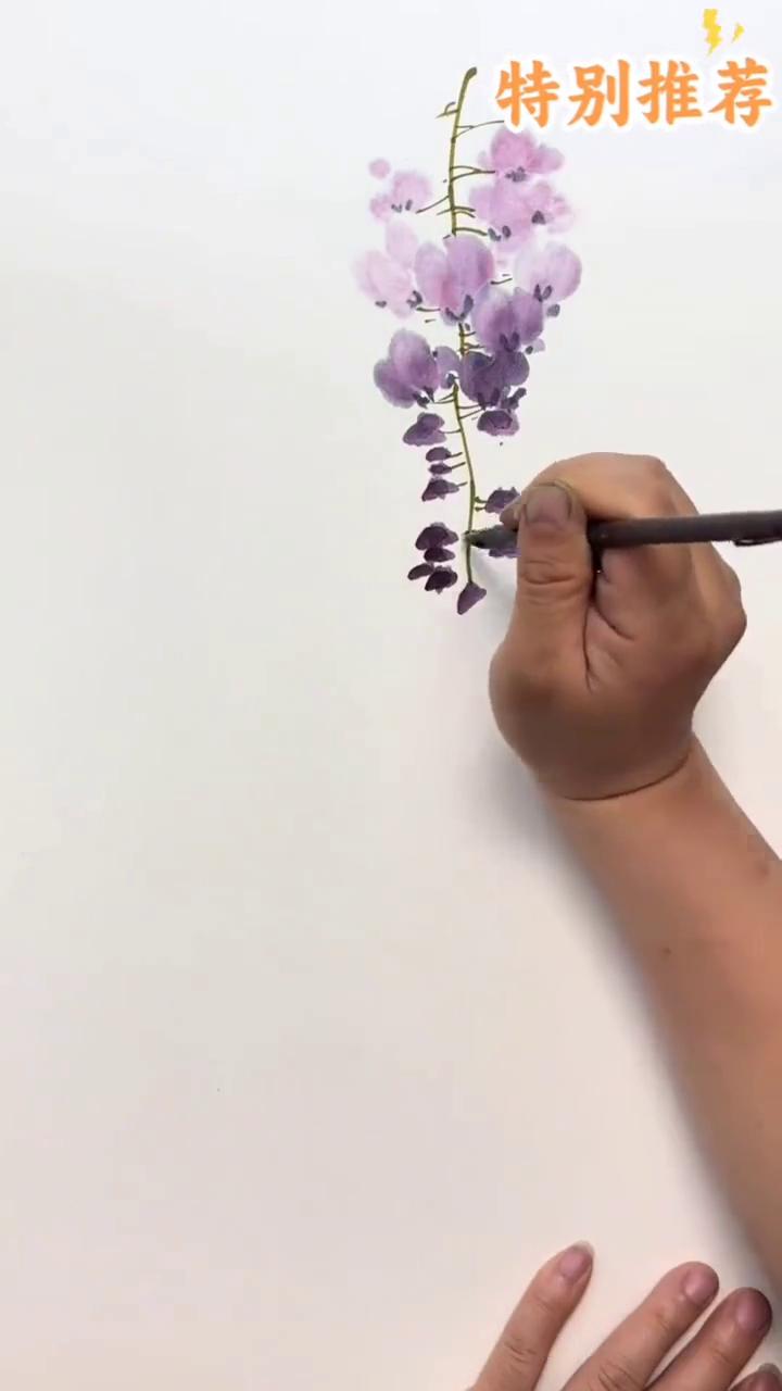 紫藤画法。传播美术知识。·花青加曙红调深紫色画花苞。·笔尖加水调淡紫色画盛