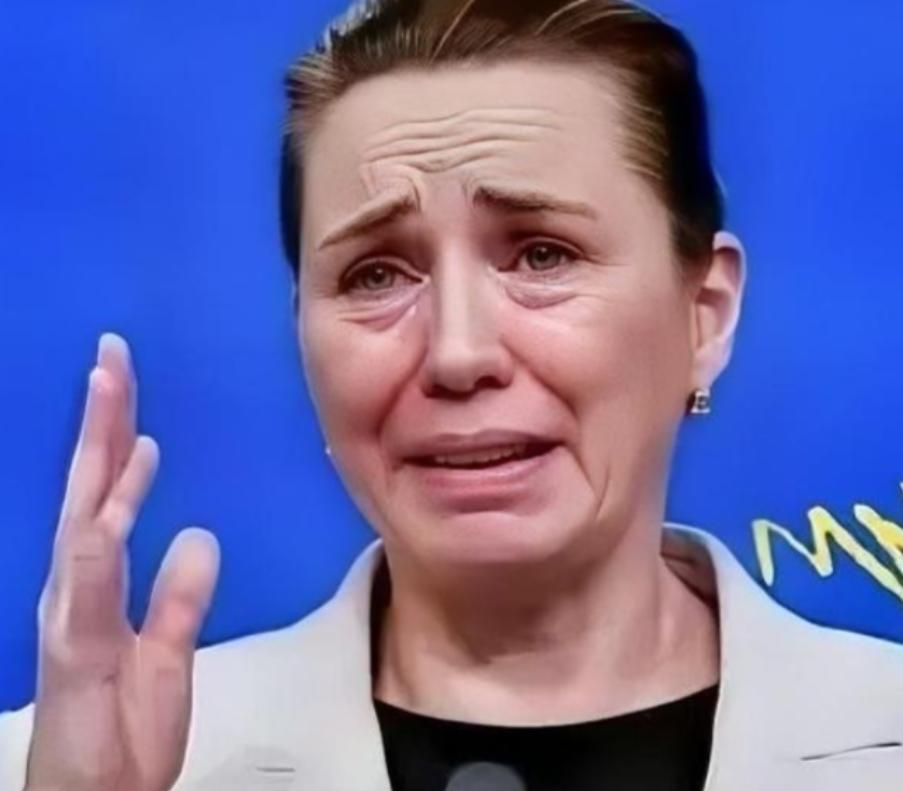 丹麦政府痛恨中国丹麦的外交大臣拉斯穆森表示，过去不允许中国对格陵兰岛投资，现在