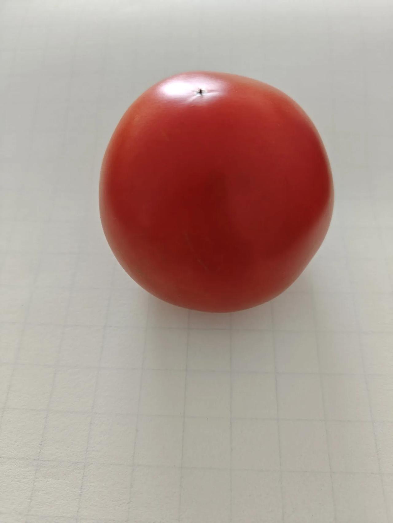 太好了，简直太开心了。从此，从今天起，不用再起早贪晚不用一天签八遍到