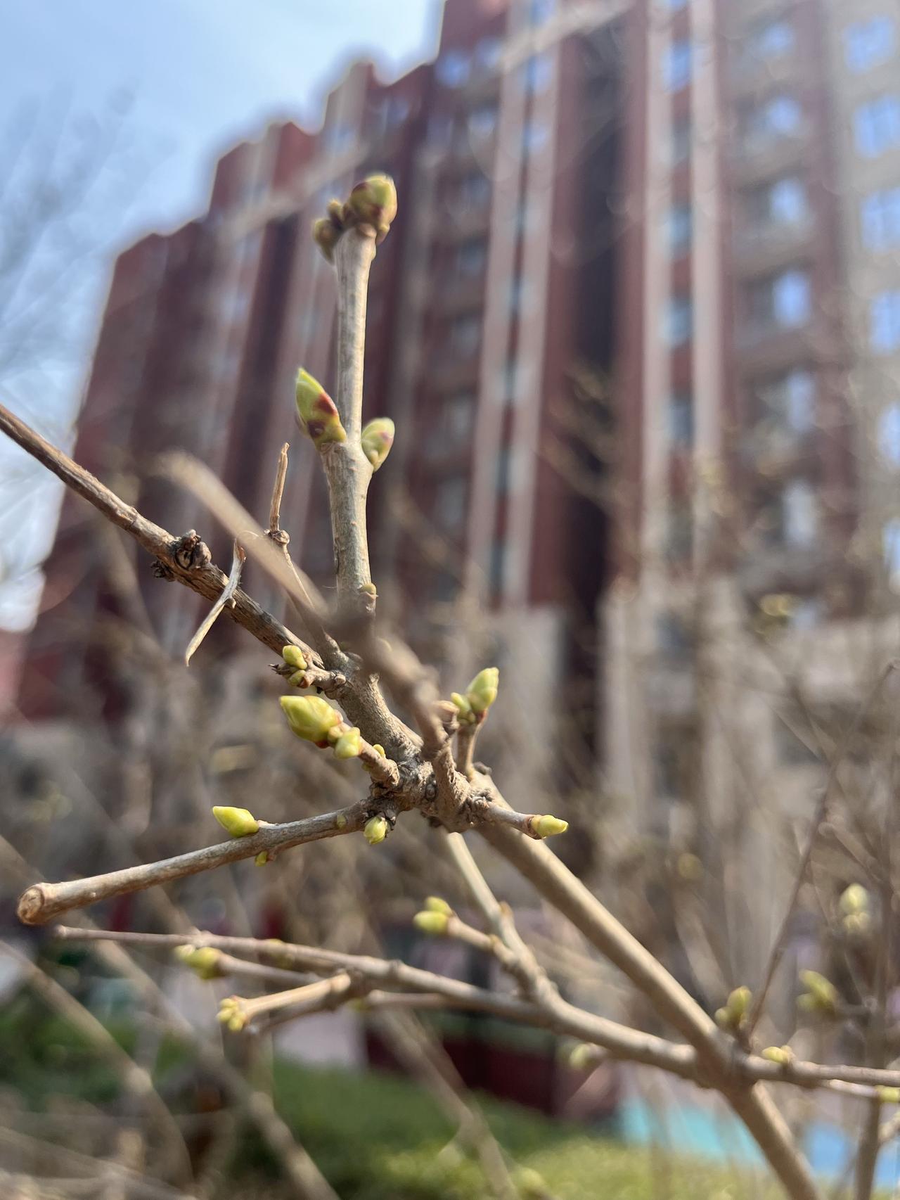 “减少新增供地”，房子会不会一夜之间涨价？昨日，一则消息传遍网络，某两部联合