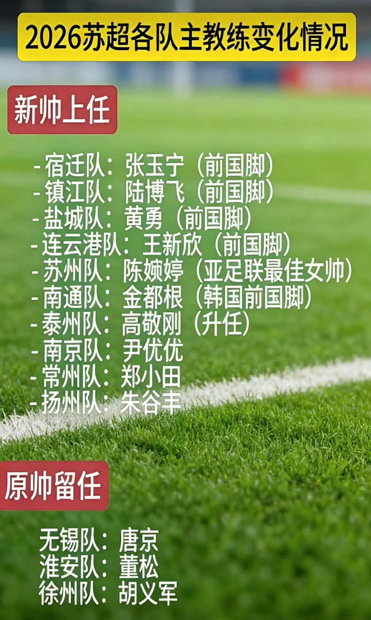 宿迁队：听说咱们几个前国脚都来苏超当教练了？我张玉宁带宿迁队，主打一个硬朗反击，