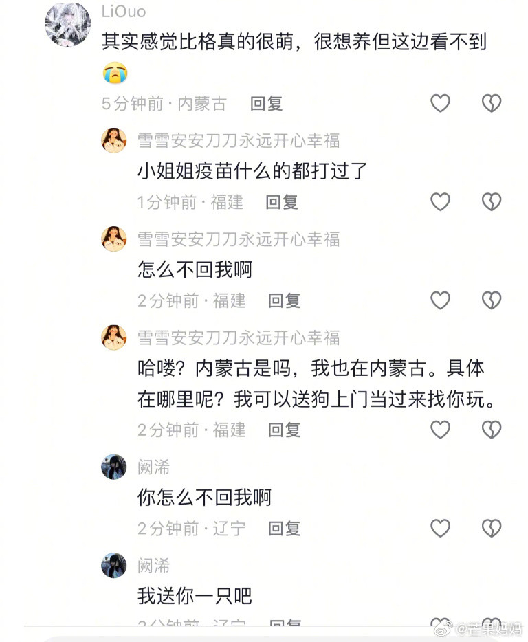 比格家长真的会到处追着别人送狗吗哈哈哈哈哈哈！