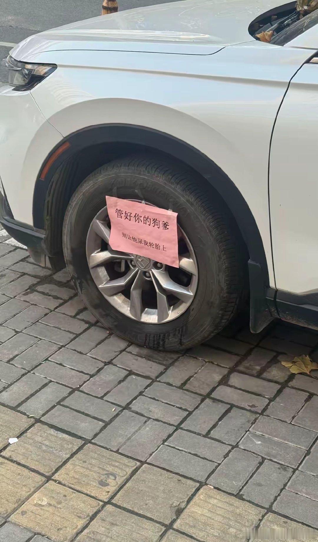 现在社会上的人脾气怎么越来越大了？