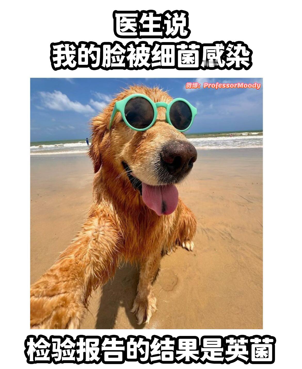 以防你没有见过英菌病毒meme​​​