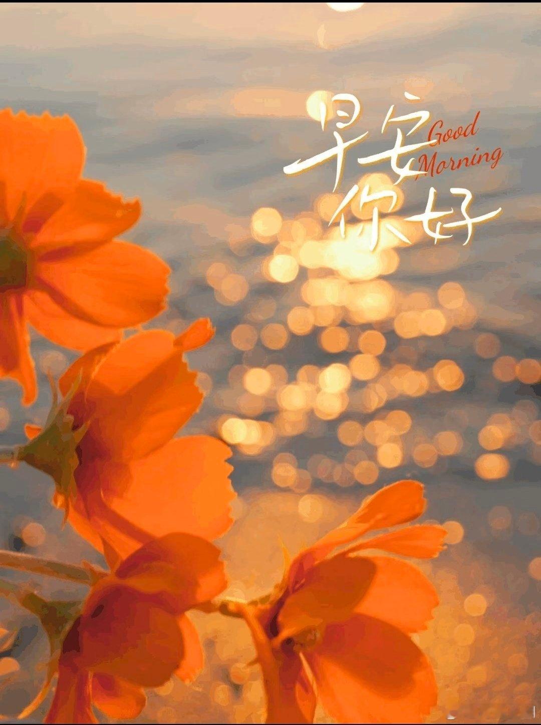 ~早安吉祥生活一半烟火暖，一半清欢甜，幸福一半用心寻，一半随遇安，人生一半释过往