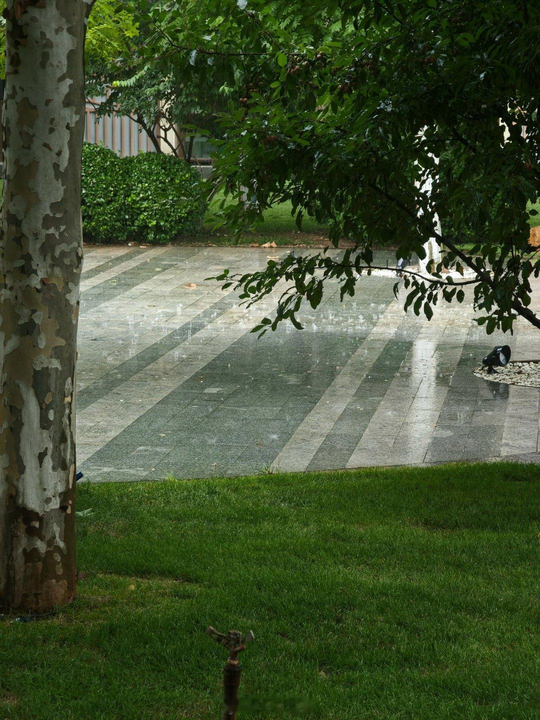 别问我为哈旅游还发微博，因为我在酒店看大雨。[捂脸哭]​​​