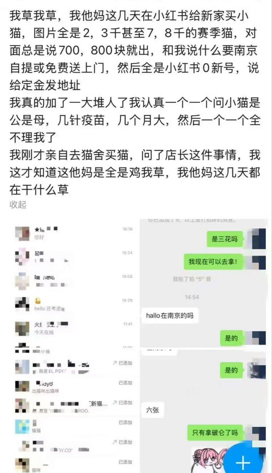 网上买猫，后知后觉原来是鸡​​​