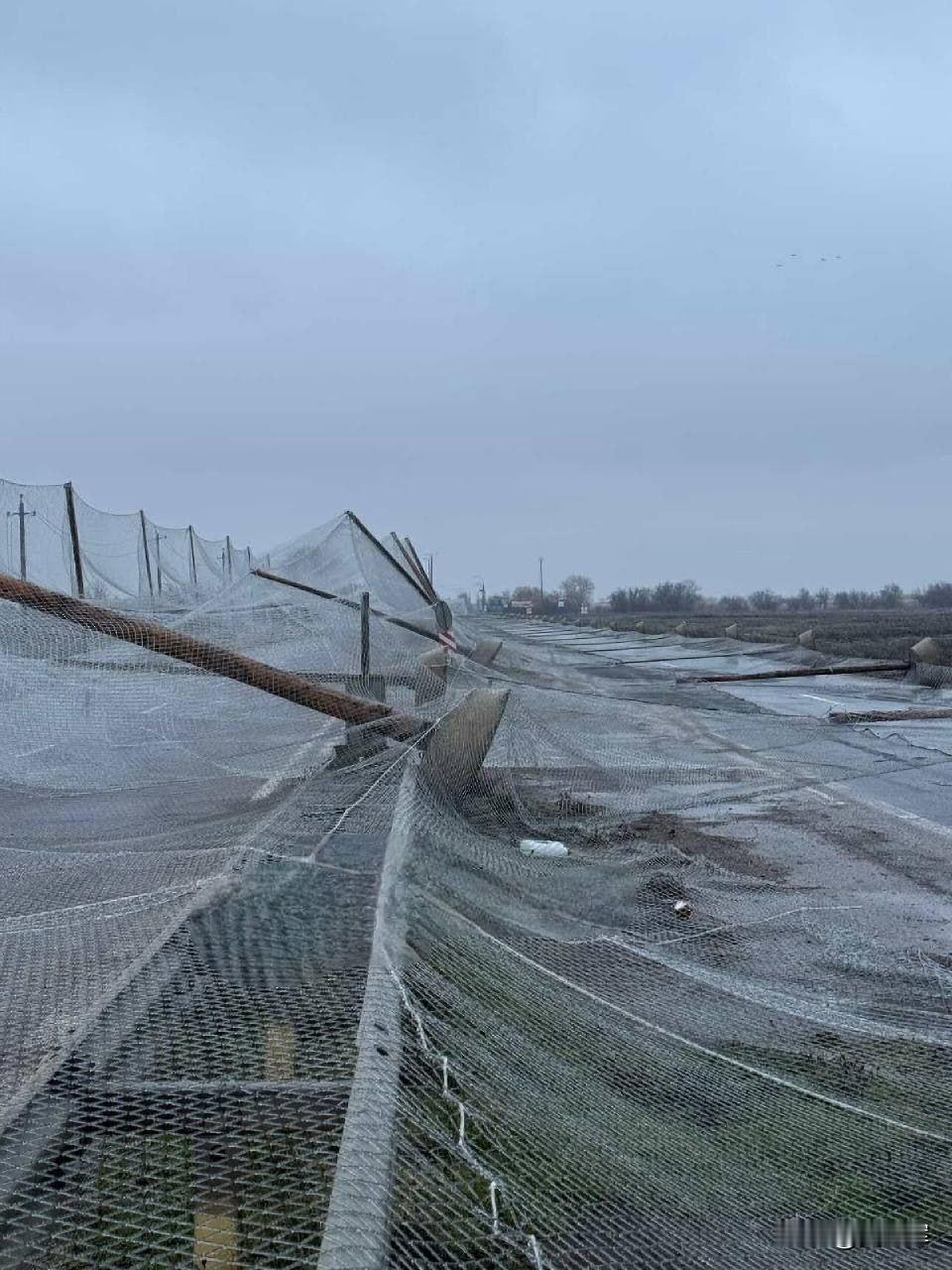 尼古拉耶夫-赫尔松公路段一处反无人机网隧道坍塌。乌军“艾达尔”营士兵斯坦尼斯拉夫