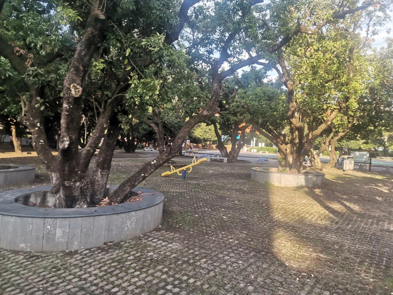 教育怪象，农村初中教师转岗县城高中教师竟然遇冷，这一点有点不可思议。按道理农村初