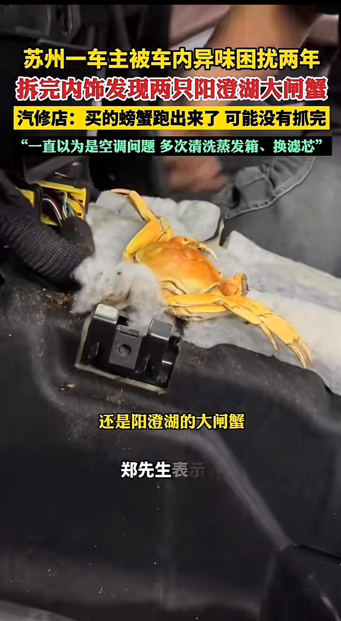 江苏苏州有个车主可太闹心了,被车内异味困扰整整两年。他一直以为是空调问题,多次清
