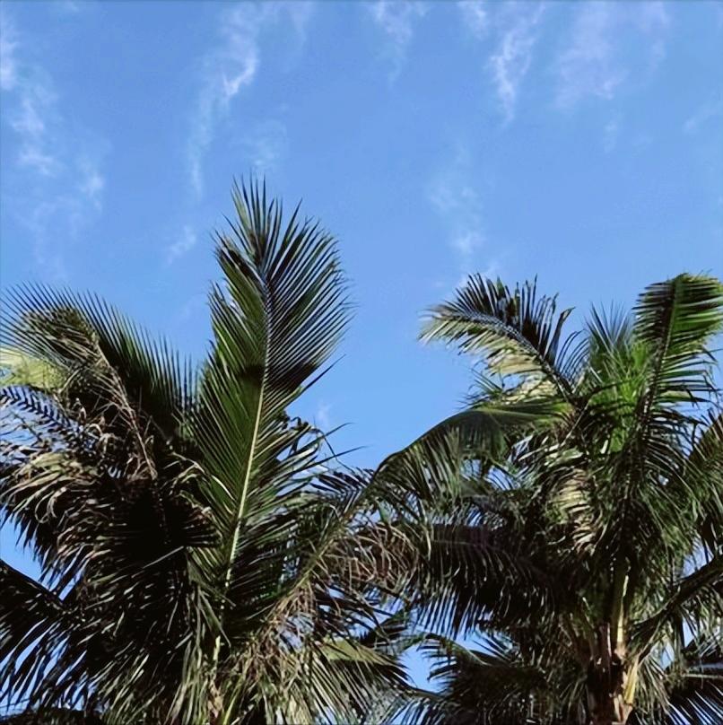 信息  关于湖南省人大的 今天17:00，关于湖南省人大的信息传递出。 