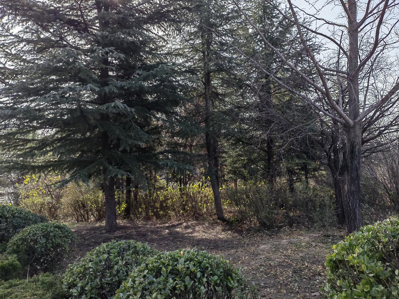 1644年三月十八日，李自成的军队进入彰义门，离皇宫很近了，三月十九日清晨兵部尚