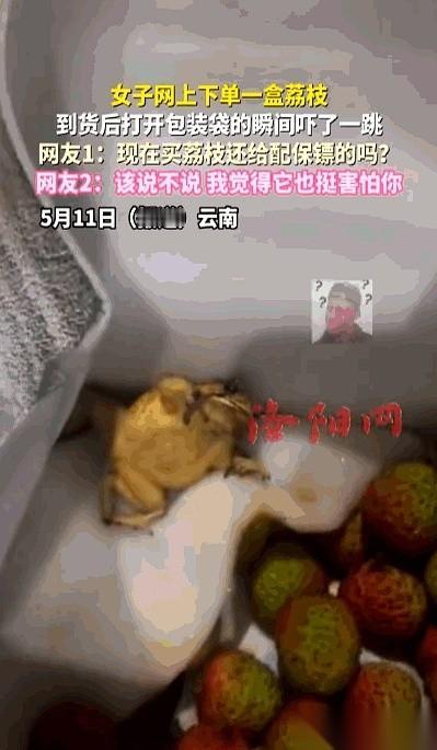 云南一个姑娘，拆开刚到的荔枝快递，手直接僵在了半空。箱子里，红彤彤的荔枝堆在一