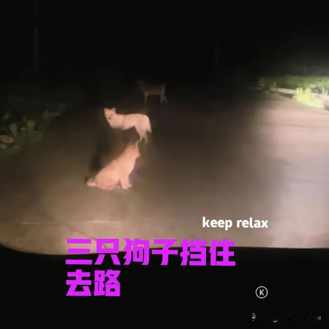 俗话说：生灵挡路，必有缘故!如果不是自己亲身经历过，我恐怕也不太会相信这种说法