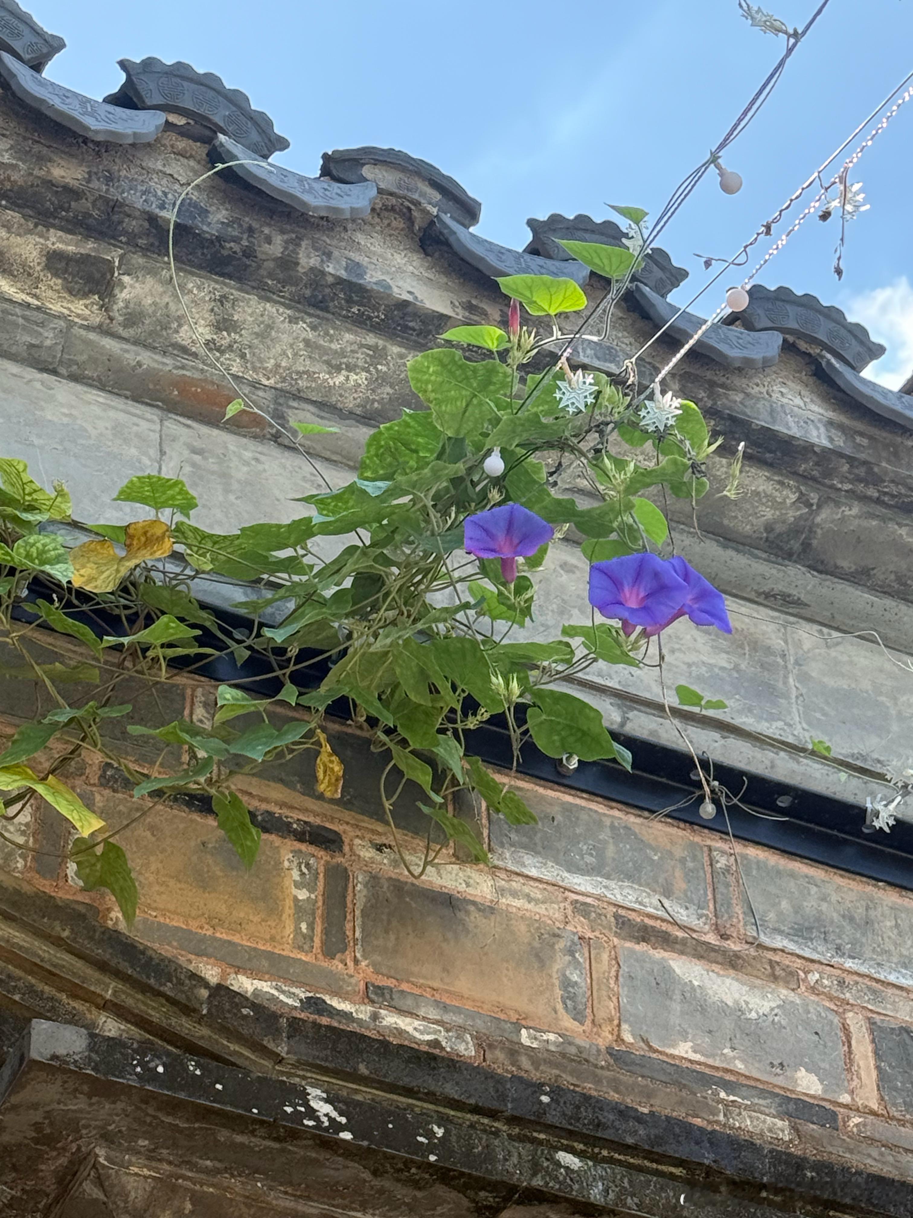 回家了又是一次难忘的旅程期待下一次相见​​​