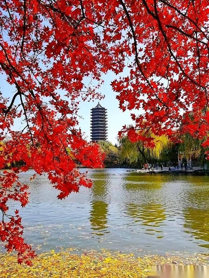 第三轮双一流中甘肃高校的呼声算最大的。但尴尬的问题在于西北师大、兰州理工、兰州交