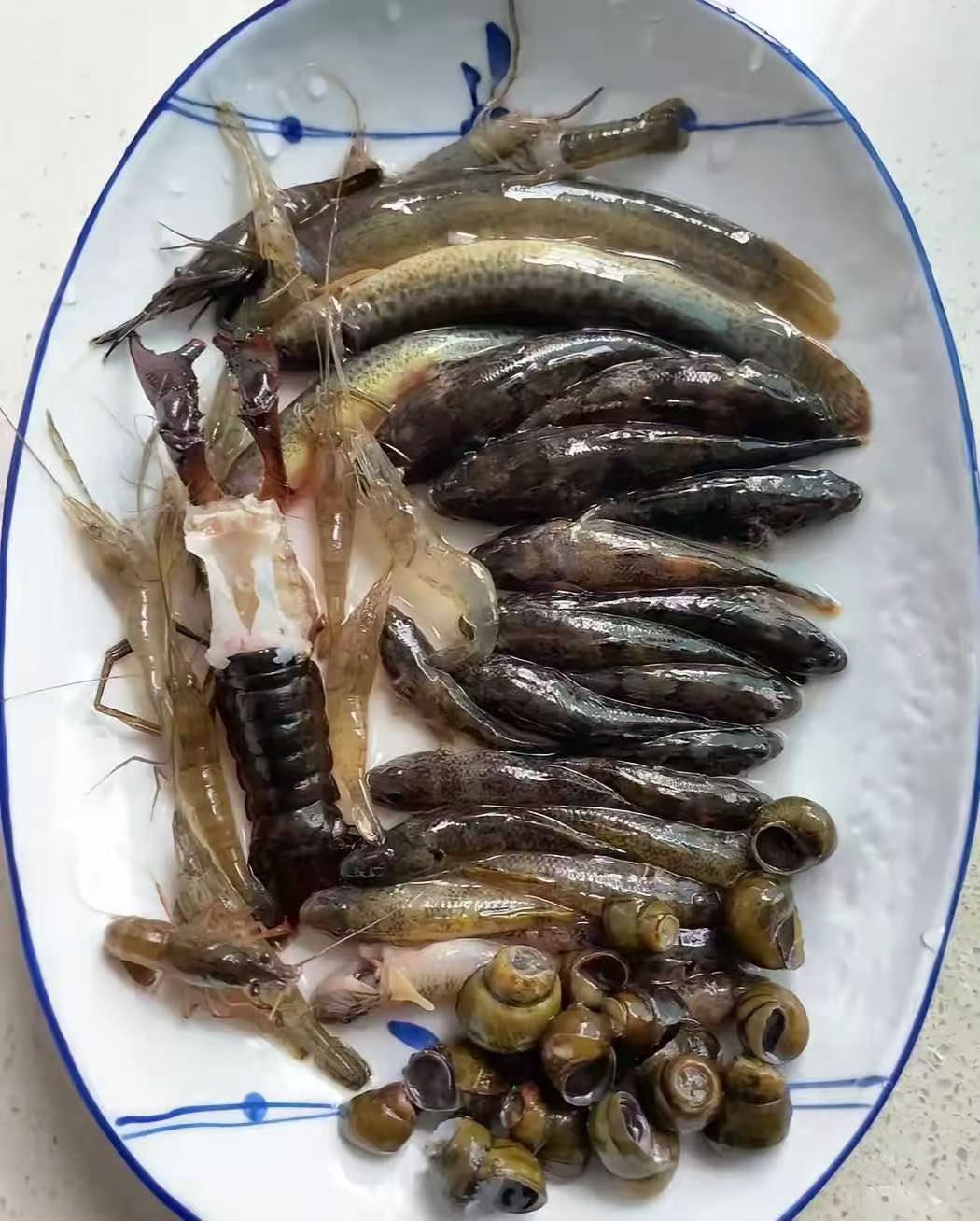 这一盘子800元，老板有没有坑我？