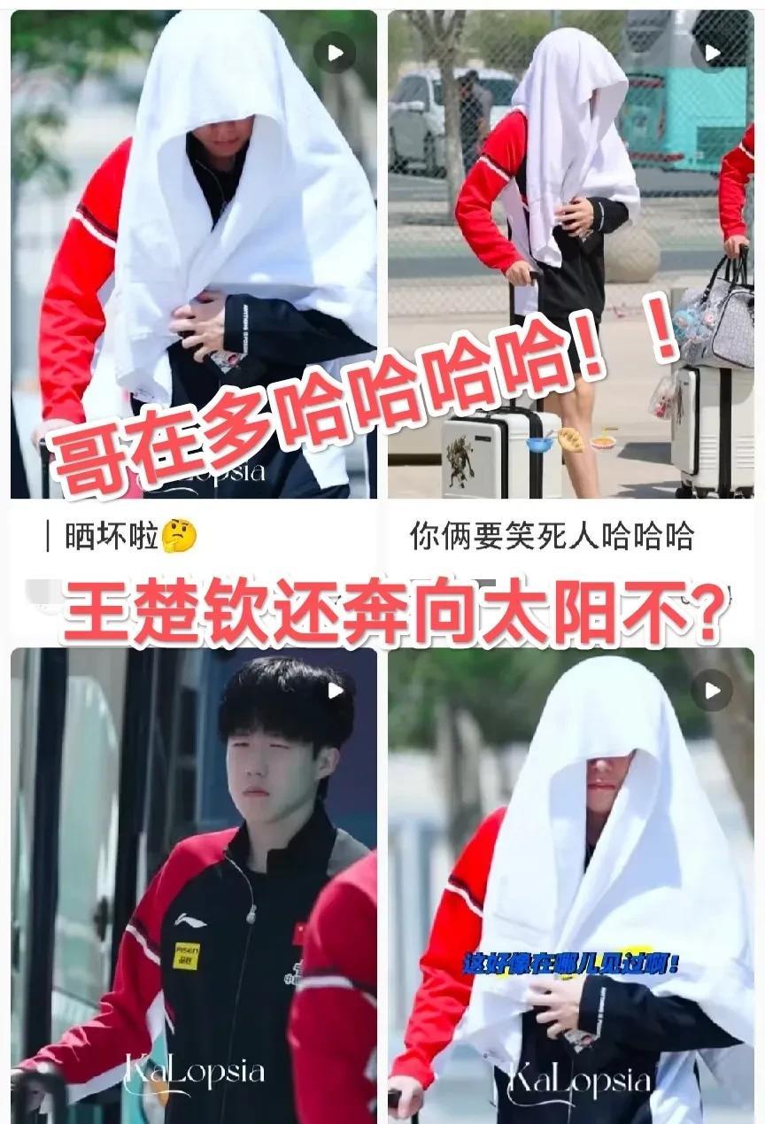 头哥，还全力以赴奔向太阳吗？这次得如愿了，够晒了吧？哈哈哈！[呲牙笑][呲牙笑]看