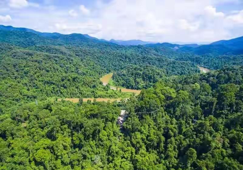 西双版纳雨林，真不是吹的。3600平方公里，全是真家伙。里面藏着3500种植